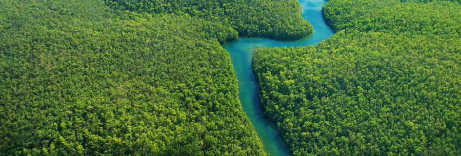 Amazon River - Brazil